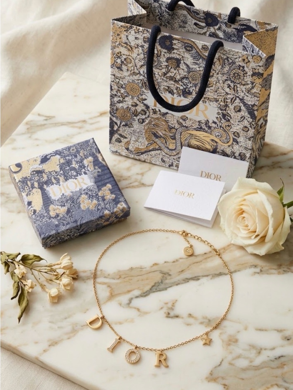 Dior Evolution Necklace New in box with bag  (no tag)